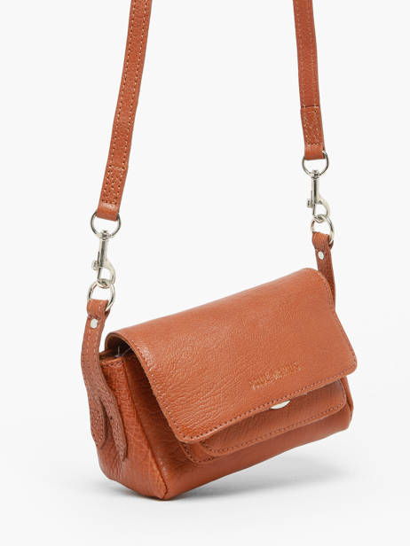 Sac Bandoulière Diane  Xs Paul marius Marron vintage DIANEXS vue secondaire 2